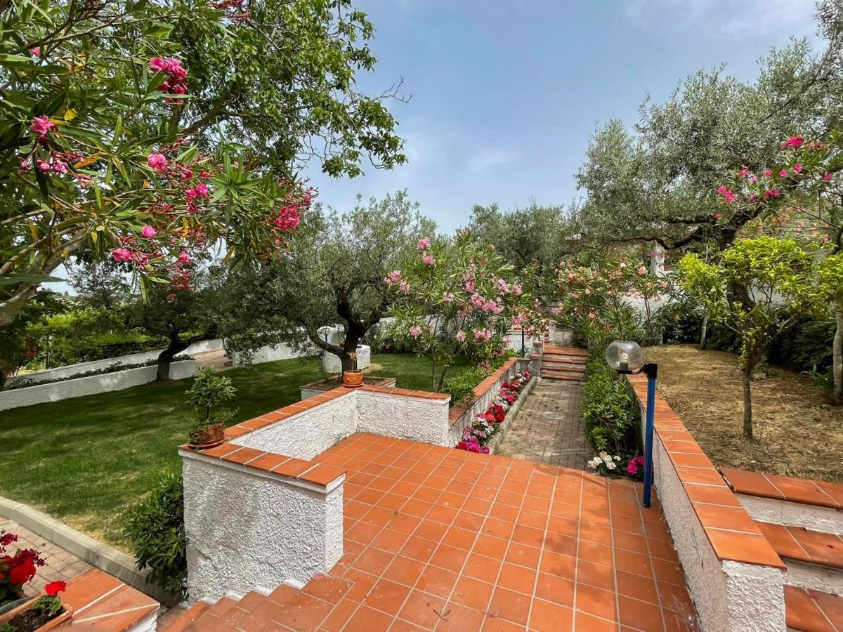 Villa Il Giardino Degli Ulivi Città Sant'Angelo Exterior foto